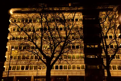 DSC_5572 (Large).JPG